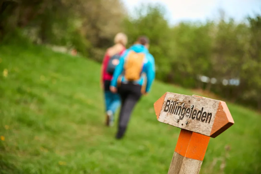 Vandring på Billingsleden