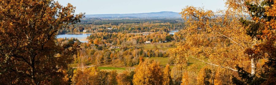 Höstlov på Billingehus i Skövde