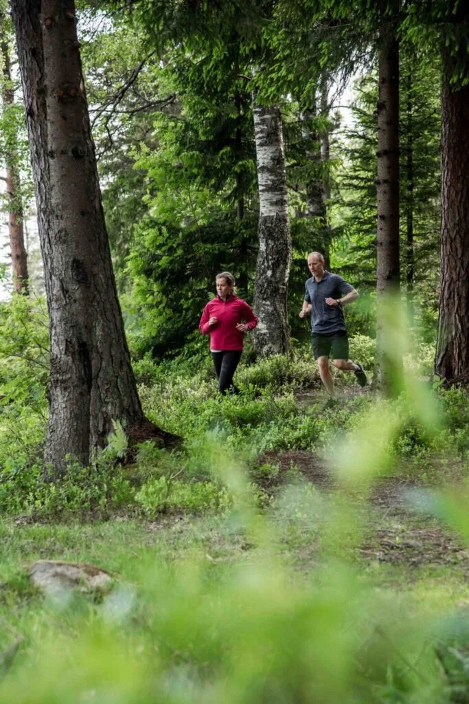 par springer i skog