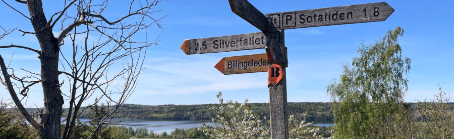 Vandring på Billingen i Skövde