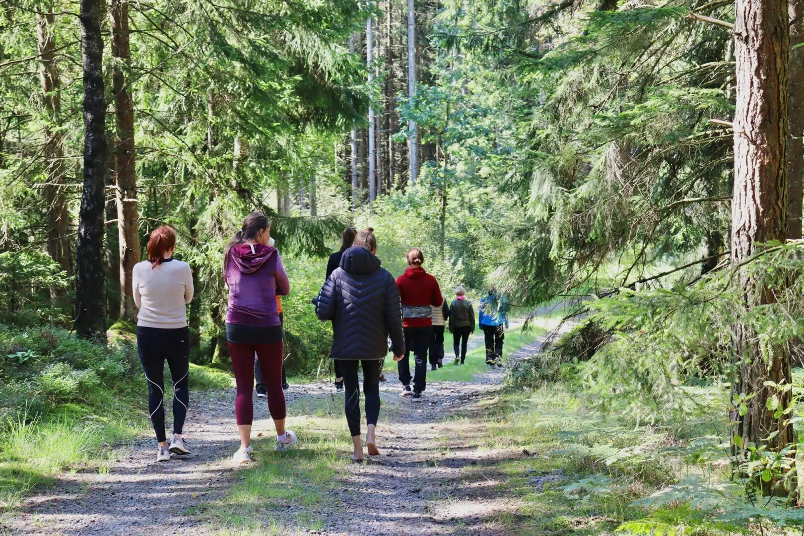 Vandrande människor på en skogsväg