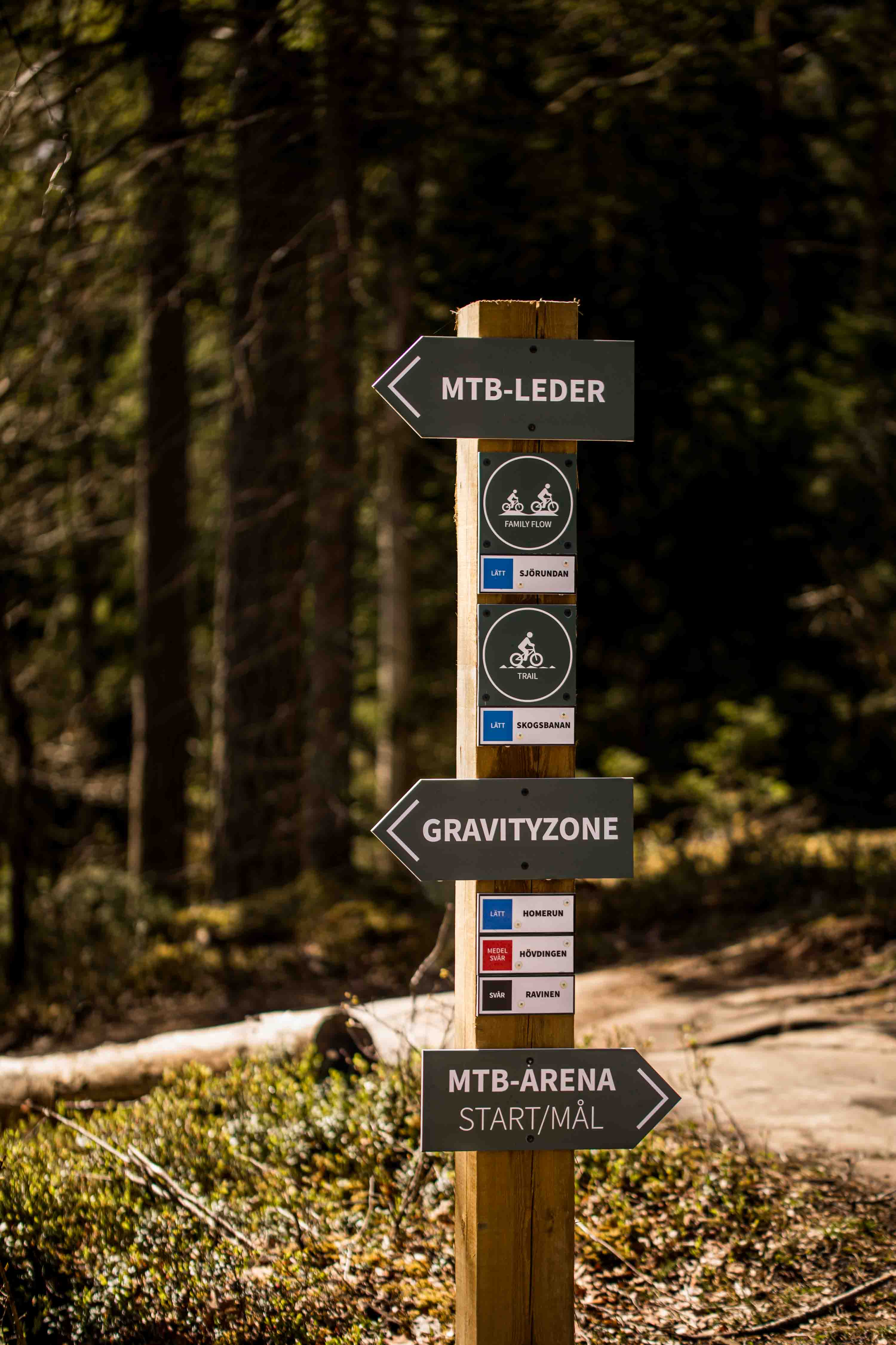 skylt mtb-leder billingen